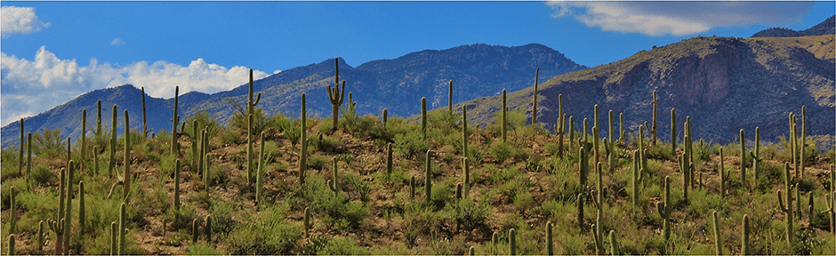 Arizona desert and mountain scene