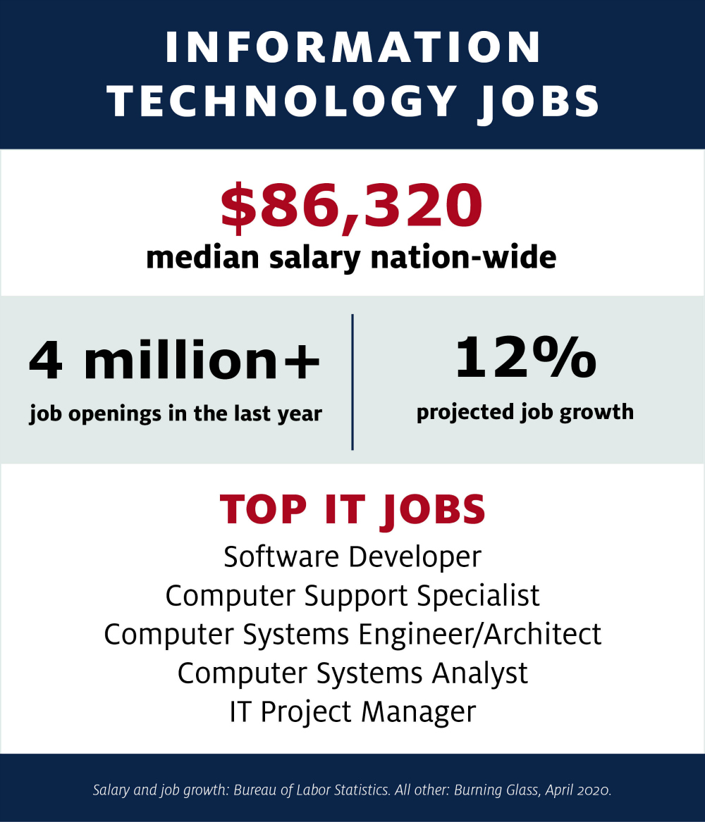 Infographic showing IT industry job posting and salary data