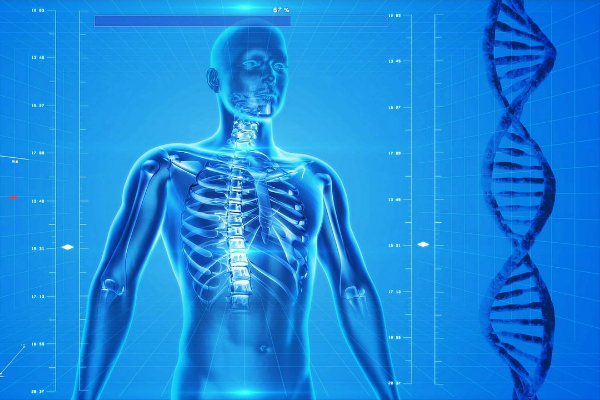 Medical drawing of human body and DNA