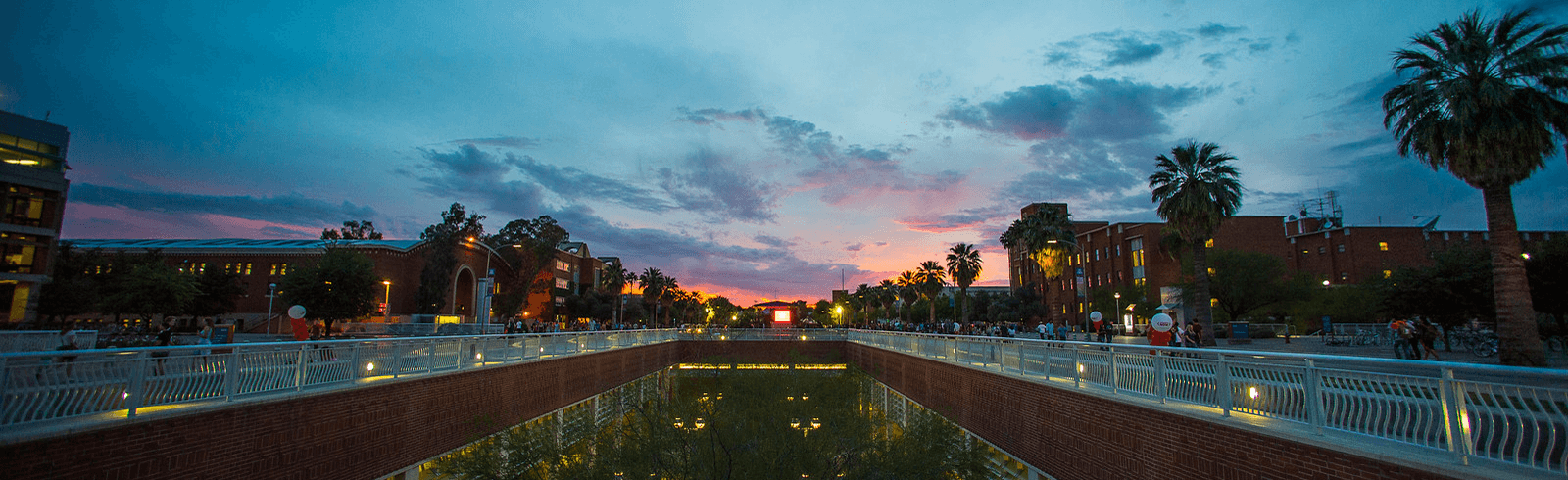 University of Arizona campus