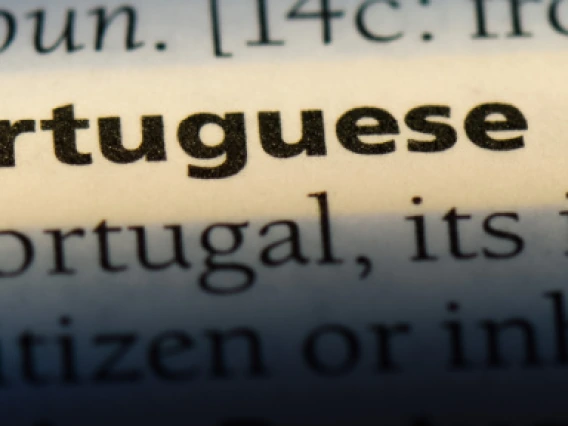 image showing portuguese dictionary definition