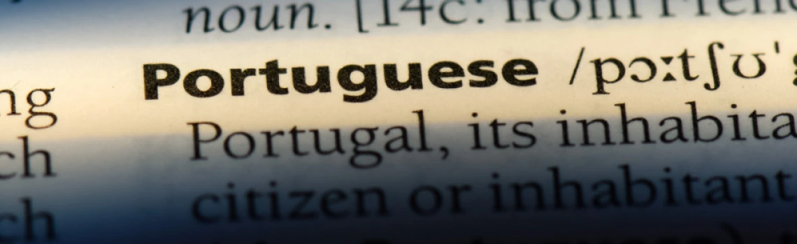 image showing portuguese dictionary definition