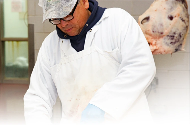 Meat processing student practicing at the University of Arizona Food Product and Safety Lab