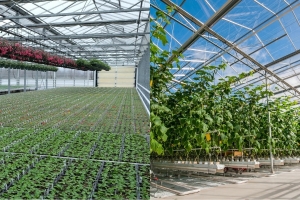 Greenhouses