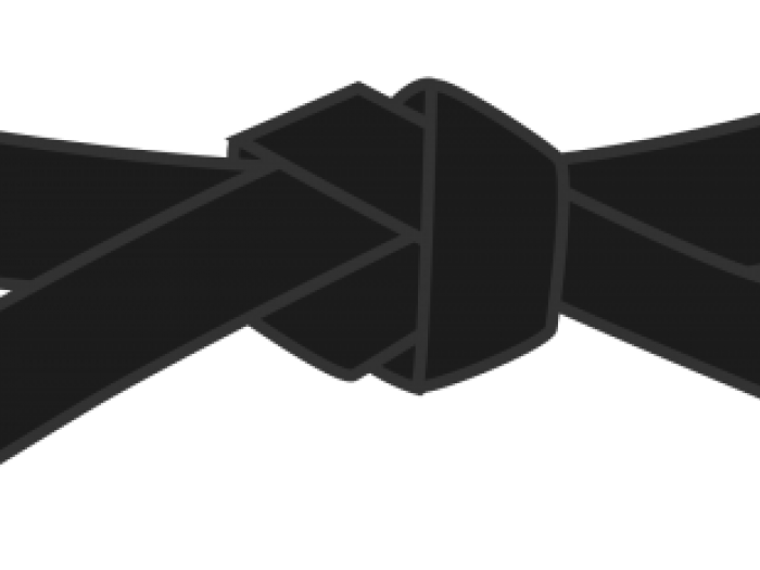 Six Sigma Black Belt class Black belt