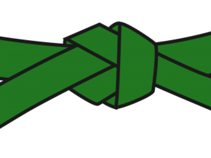 Six Sigma Green Belt class Green belt