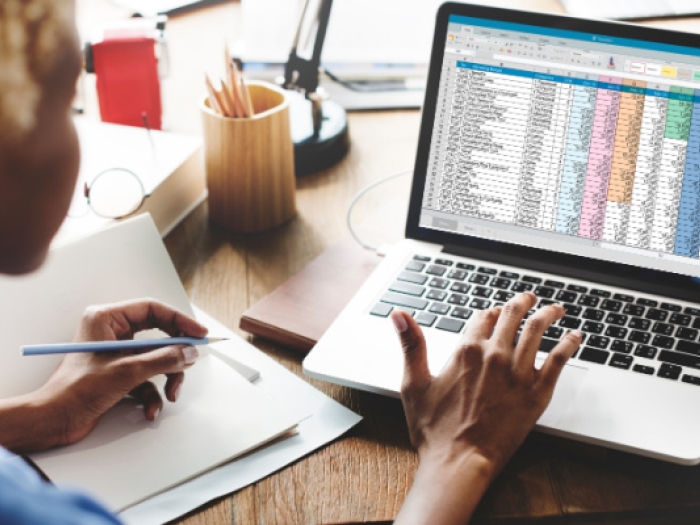 Woman working on laptop using spreadsheet program