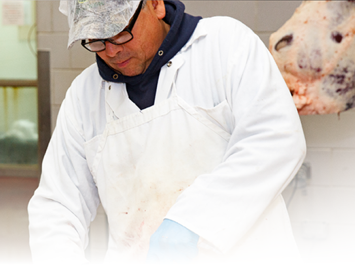 Meat processing student practicing at the University of Arizona Food Product and Safety Lab