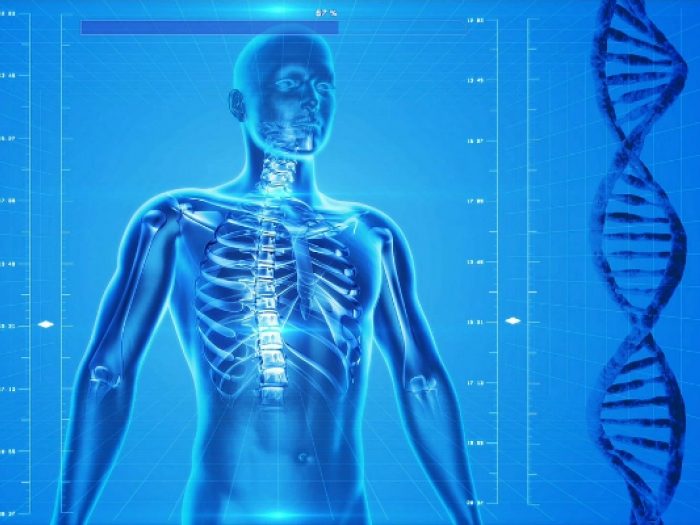 Medical drawing of human body and DNA