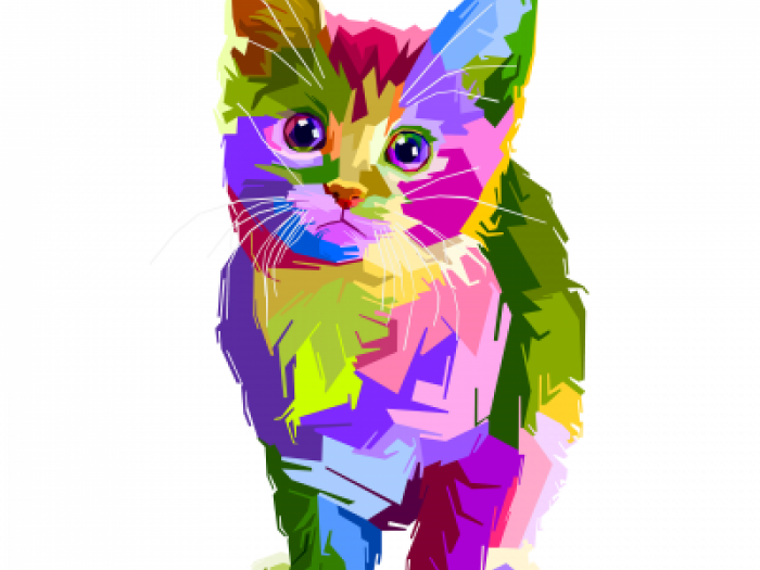 Graphic design classes Colorful illustration of a kitten