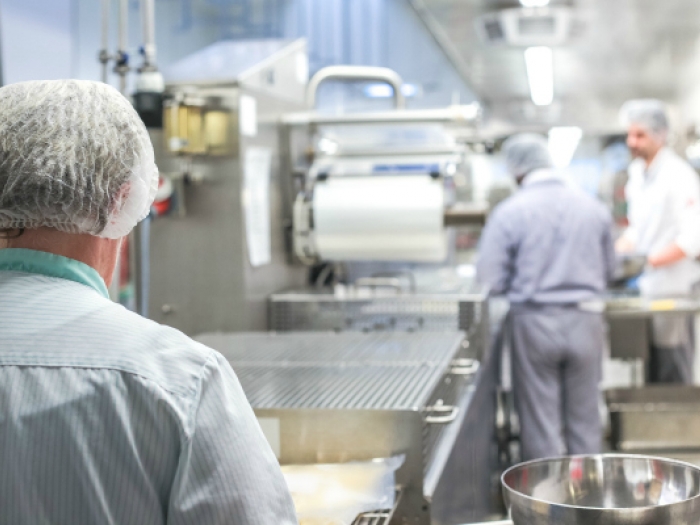 Basic HACCP - Introduction Food manufacturing workers in industrial kitchen