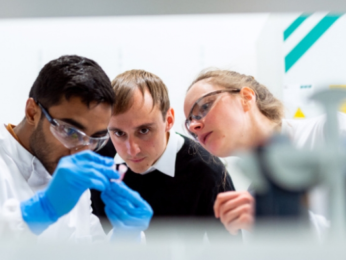 Scientists in a laboratory