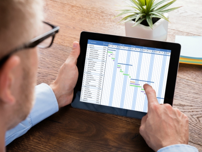 Project manager looking at project plan